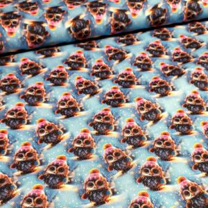 Kočárkovina Zimní sovičky