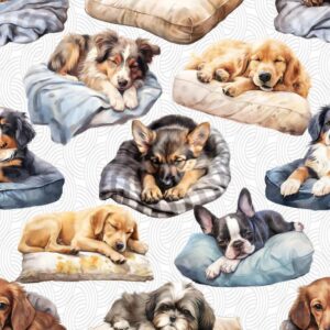 Kočárkovina Pejsci