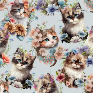 Kočárkovina Kočičky