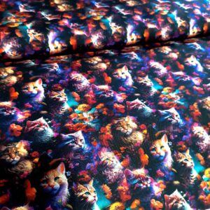 Kočárkovina Magické kočky