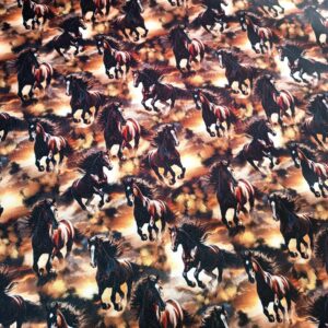 Kočárkovina Koně 2