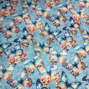 Kočárkovina Mořský motýl