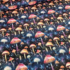 Kočárkovina Magické houby