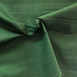 Plátno Tmavě zelená