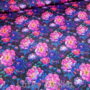 Kočárkovina Fialovorůžové pivoňky se zlatým okrajem