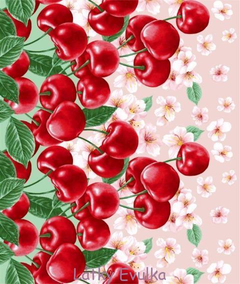 Vaflovina Třesně - Obrázek 2