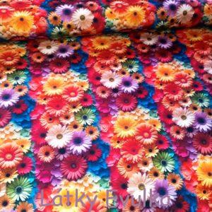 Kočárkovina Barevné gerbery