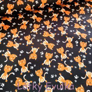 Kočárkovina Zrzavé kočičky