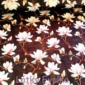 Kočárkovina Magnólie na tmavém podkladu