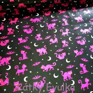 Plátno Růžové kočky na černé
