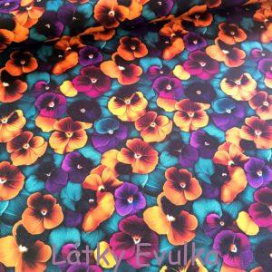 Kočárkovina Macešky