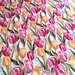 Kočárkovina Tulipány