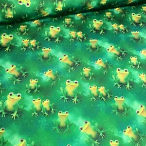 Kočárkovina Žabky