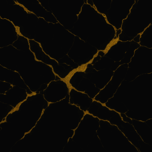 PANEL ZLATÝ MRAMOR NA ČERNÉ 2